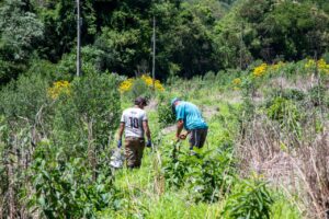 Acción por la biodiversidad: plantan 5.000 especies nativas en el Parque Provincial Foerster