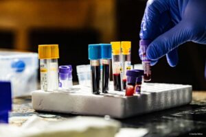 Misiones refuerza la conservación y la seguridad mediante un operativo conjunto que unió la protección del yaguareté y el entrenamiento de canes policiales