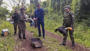 Liberan animales silvestres rehabilitados en el Parque Provincial Salto Encantado