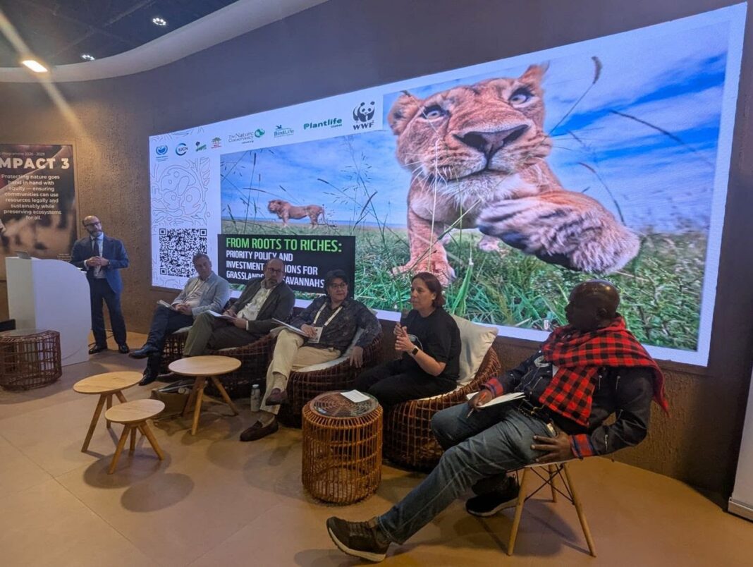 La UICN marca un hito histórico: los pastizales entran oficialmente en la agenda global de conservación