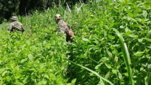 Guardaparques de Misiones desmantelaron un campamento de cazadores furtivos en el Parque Provincial Foerster y hallaron restos de fauna silvestre