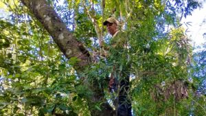 Guardaparques refuerzan los controles en el Parque Provincial Salto Encantado y desactivan trampas utilizadas para la caza furtiva