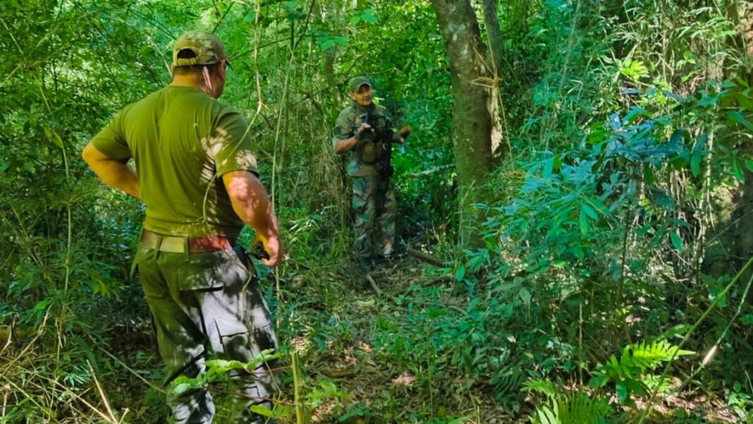 Guardaparques refuerzan los controles en el Parque Provincial Salto Encantado y desactivan trampas utilizadas para la caza furtiva