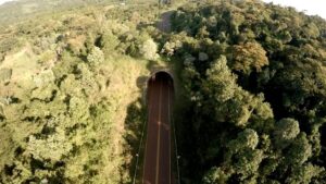 Misiones avanza en nuevas acciones ambientales junto a la Fundación Rewilding Argentina