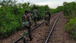 Misiones | Ecología y Parques Nacionales patrullan más de 100 kilómetros del Paraná para resguardar su fauna