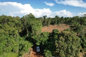 Ministerio de Ecología refuerza inspecciones por cambio de uso de suelo en Garuhapé