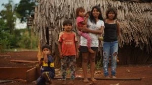 Tecnología y saber ancestral: la fórmula innovadora para proteger la Selva Paranaense en Misiones