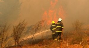 Misiones en alerta roja: Coordinan acciones urgentes ante el riesgo extremo de incendios