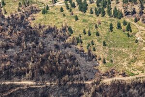 Ecocidio en Chubut: imágenes aéreas de Greenpeace muestran la devastación de los incendios más graves en décadas
