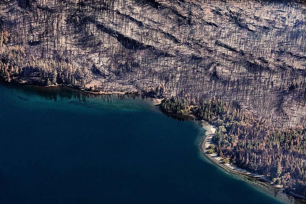 Ecocidio en Chubut: imágenes aéreas de Greenpeace muestran la devastación de los incendios más graves en décadas