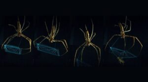 Biomimética en acción: La telaraña "inteligente" que inspira los materiales del futuro