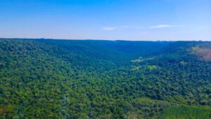 Misiones en alerta: despliegan vigilancia aérea en la Selva Paranaense contra incendios