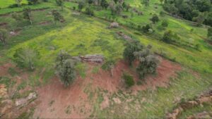 Misiones intensifica la lucha contra la deforestación con satélites y operativos de campo