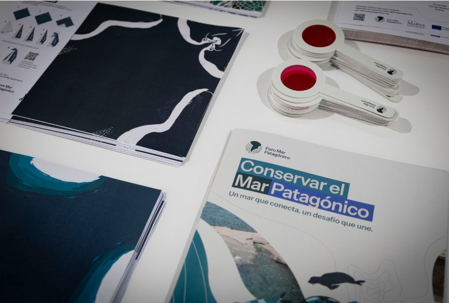 Fundación Vida Silvestre formó parte de “El mar en la ciudad”, una propuesta que conectó a Buenos Aires con el Mar Patagónico