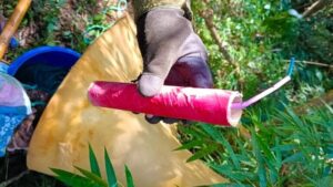 Megaoperativo en la selva misionera