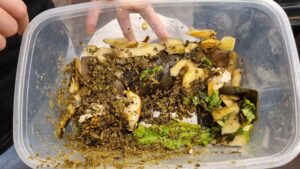 Misiones lanza EcoRed: 