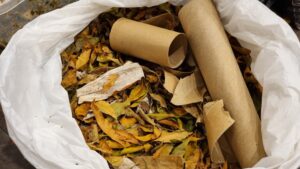 Misiones lanza EcoRed: 