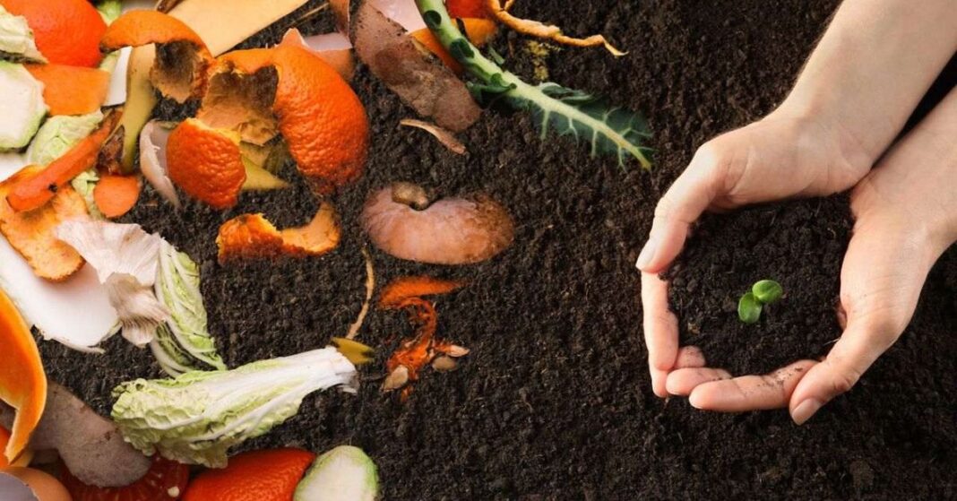 Cómo hacer compost en casa y transformar residuos orgánicos en un recurso para el suelo