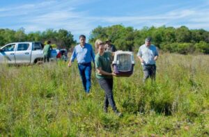 Animales silvestres rescatados y rehabilitados en el Parque El Puma fueron reinsertados en su hábitat natural