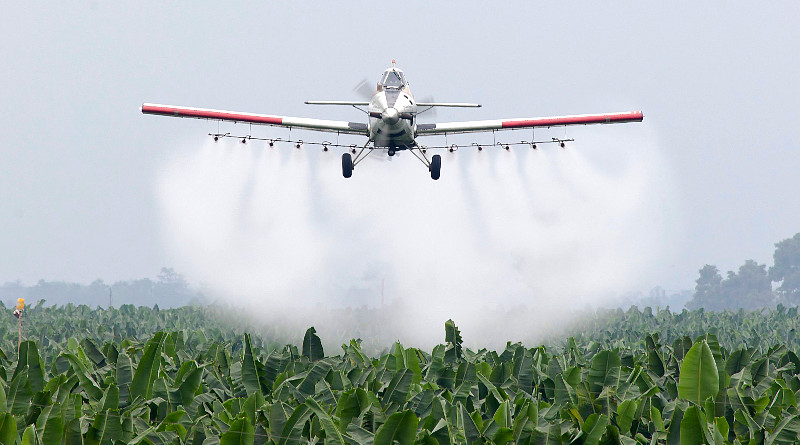 La Justicia amplió las restricciones a las fumigaciones con agroquímicos en Entre Ríos