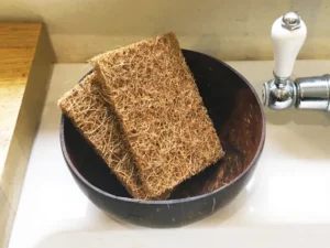 Estropajos fibra de coco