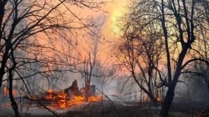 Incendio forestal en Chernóbil afectó más de 1.000 hectáreas