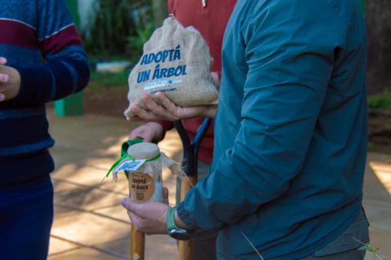 Ecología inició el Mes del Medio Ambiente con actividades y entrega de kits de plantación en escuelas de Posadas