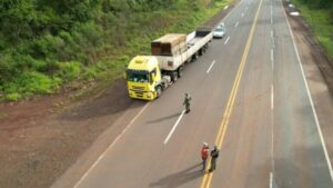 Ecología intensifica controles sobre el transporte de madera nativa en el norte de Misiones