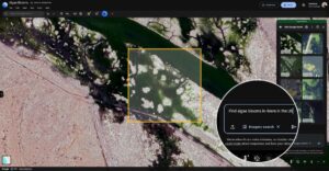 Google Earth AI