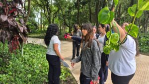 Compromiso Ambiental | El CEA Misiones fortalece la conciencia ecológica en toda la provincia
