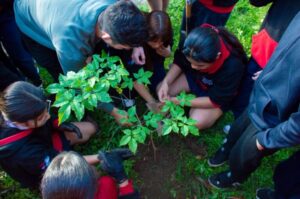 “Adoptá un Árbol”: estudiantes de Posadas plantaron especies nativas y aprendieron sobre su cuidado